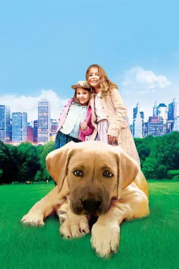 Plakat do filmu "Chestnut: Hero of Central Park" #317504