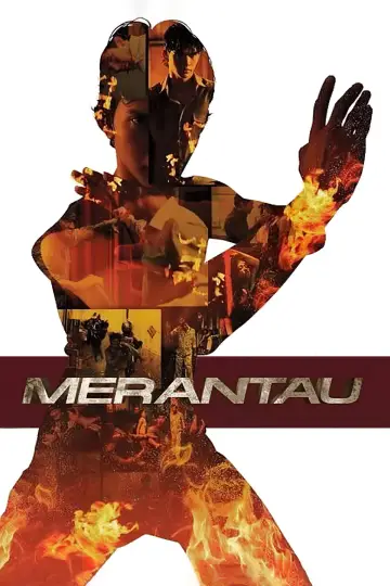 Plakat do filmu "Merantau" #649274
