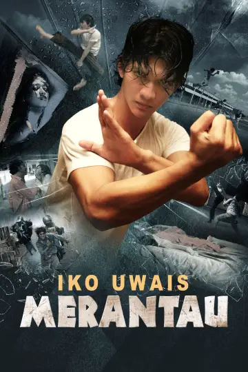 Plakat do filmu "Merantau" #649276