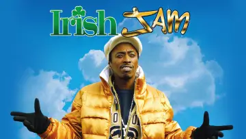 Zasłona do filmu "Irlandzki numer" #1136891
