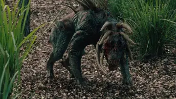 Zasłona do filmu "Predators" #613790