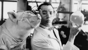 Zasłona do filmu "Pee-wee Herman w cyrku" #1587662