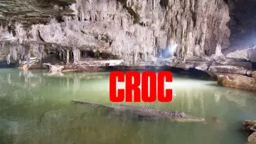 Zasłona do filmu "Croc" #1130605