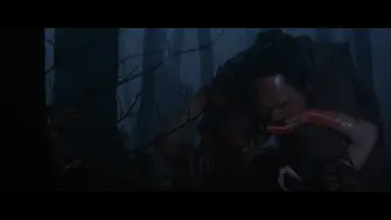 Zasłona do filmu "刺青" #1889563