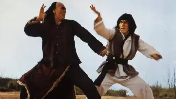 Zasłona do filmu "Tajemna Księga Węża i Żurawia" #1878565
