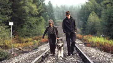 Zasłona do filmu "Podróż Natty Gann" #437062