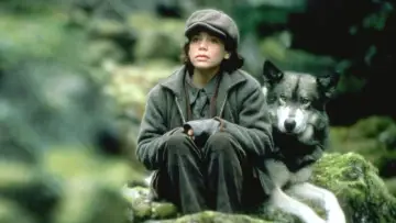 Zasłona do filmu "Podróż Natty Gann" #437066