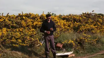 Zasłona do filmu "Ciasteczka" #1573247