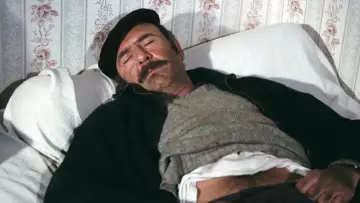 Zasłona do filmu "Ciasteczka" #1573248