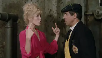 Zasłona do filmu "Il burbero" #494944