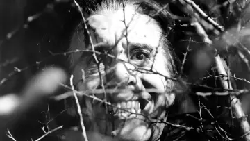 Zasłona do filmu "Szatański plan Draculi" #407044