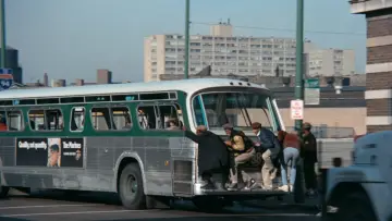 Zasłona do filmu "Cooley High" #1128670