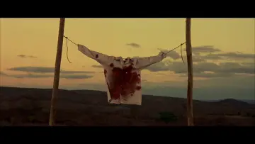 Zasłona do filmu "W cieniu słońca" #1124087