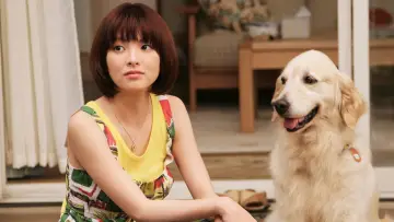 Zasłona do filmu "犬と私の10の約束" #1910261