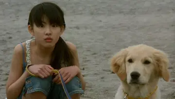 Zasłona do filmu "犬と私の10の約束" #1910262
