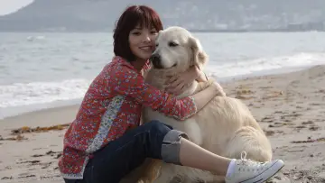 Zasłona do filmu "犬と私の10の約束" #1910265