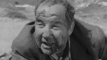 Zasłona do filmu "Niebieski Ptak" #482703