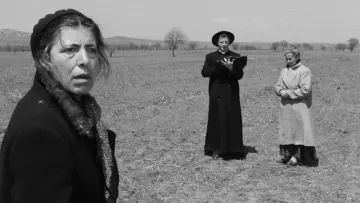 Zasłona do filmu "Niebieski Ptak" #482708