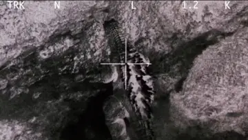 Zasłona do filmu "Godzilla, Mothra i król Gidorah atakują" #903634