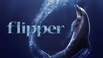 Zasłona do filmu "Flipper" #1060957
