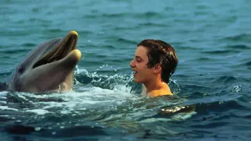 Zasłona do filmu "Flipper" #1060962