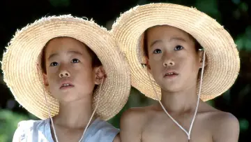Zasłona do filmu "絵の中のぼくの村" #768112