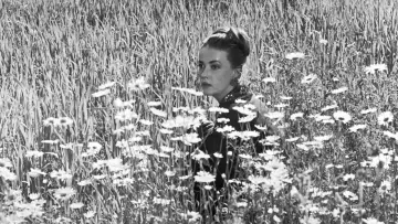 Zasłona do filmu "Mademoiselle" #500270