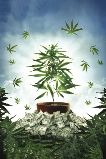 Plakat do filmu "The Union: The Business Behind Getting High" #1578198