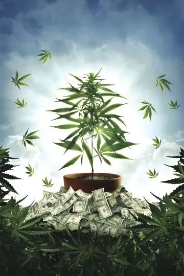 Plakat do filmu "The Union: The Business Behind Getting High" #1578199