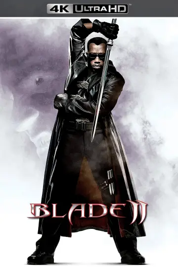 Plakat do filmu "Blade: Wieczny łowca II" #281782
