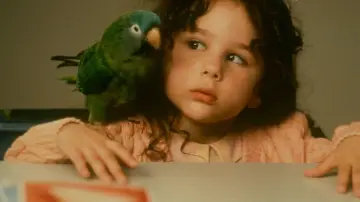 Zasłona do filmu "Paulie" #383552
