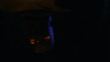 Zasłona do filmu "Bal maturalny" #705068