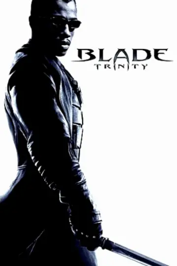 Plakat do filmu "Blade: Mroczna Trójca" #318894