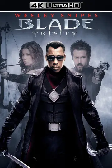 Plakat do filmu "Blade: Mroczna Trójca" #318905