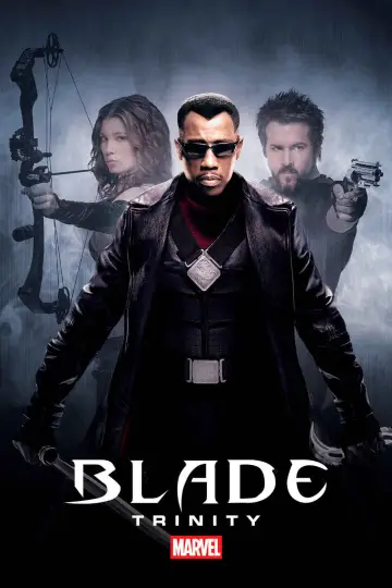 Plakat do filmu "Blade: Mroczna Trójca" #318922