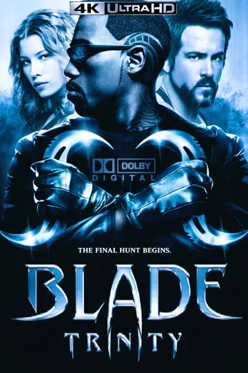 Plakat do filmu "Blade: Mroczna Trójca" #318928