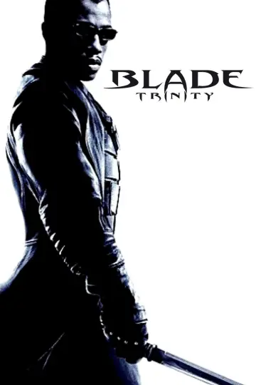 Plakat do filmu "Blade: Mroczna Trójca" #673644