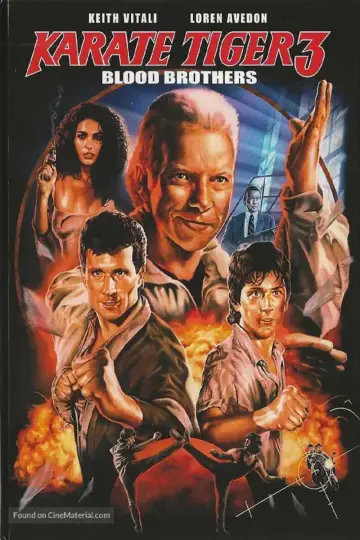 Plakat do filmu "Bez Odwrotu 3: Bracia Krwi" #1072656