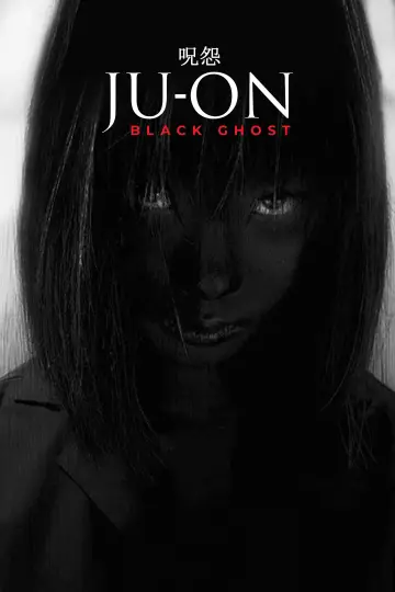 Plakat do filmu "呪怨 黒い少女" #1574513
