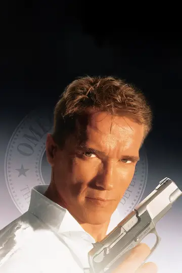 Plakat do filmu "Prawdziwe kłamstwa" #242835