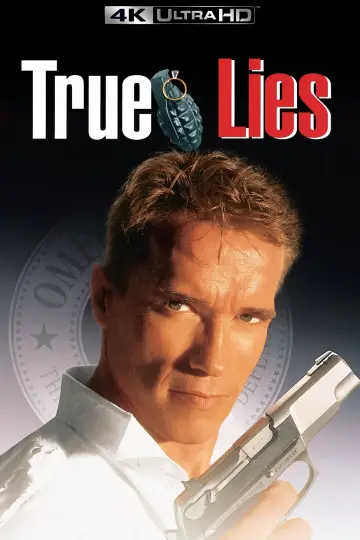 Plakat do filmu "Prawdziwe kłamstwa" #242869