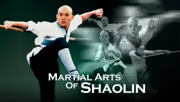 Zasłona do filmu "Wojownik z Shaolin" #1096971