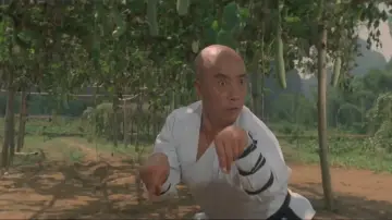 Zasłona do filmu "Wojownik z Shaolin" #456787