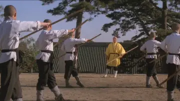 Zasłona do filmu "Wojownik z Shaolin" #456794