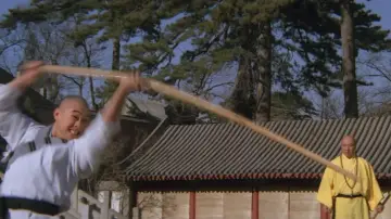Zasłona do filmu "Wojownik z Shaolin" #456796