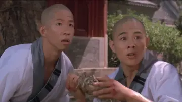 Zasłona do filmu "Wojownik z Shaolin" #456799
