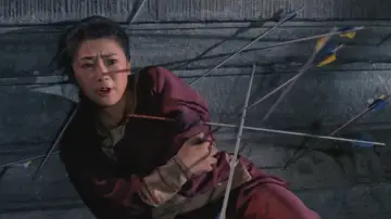 Zasłona do filmu "Wojownik z Shaolin" #456803