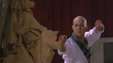 Zasłona do filmu "Wojownik z Shaolin" #456812