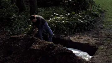 Zasłona do filmu "Ludzka stonoga" #1630429