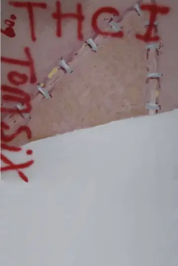 Plakat do filmu "Ludzka stonoga" #1630434